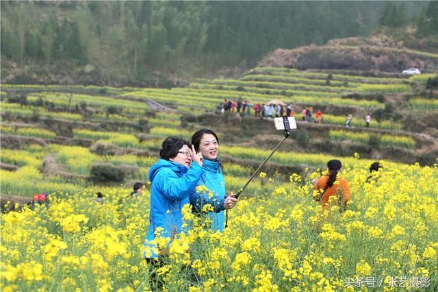 春天的婺源 油菜花盛开，姑娘头戴十元花环满山遍野拍照