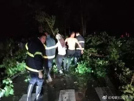 明天有暴雨！多图震撼直击：阜阳昨天的10级大风，156毫米降水后