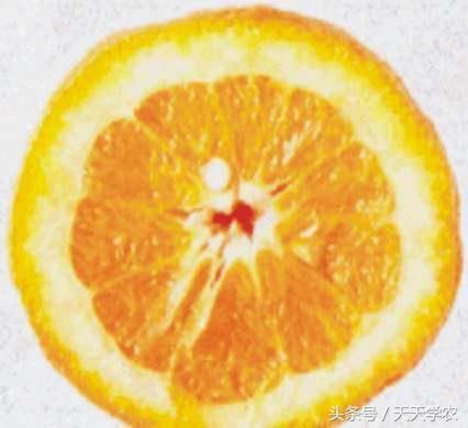 柑橘树黄到心发慌,是缺素还是啥?会影响产量吗