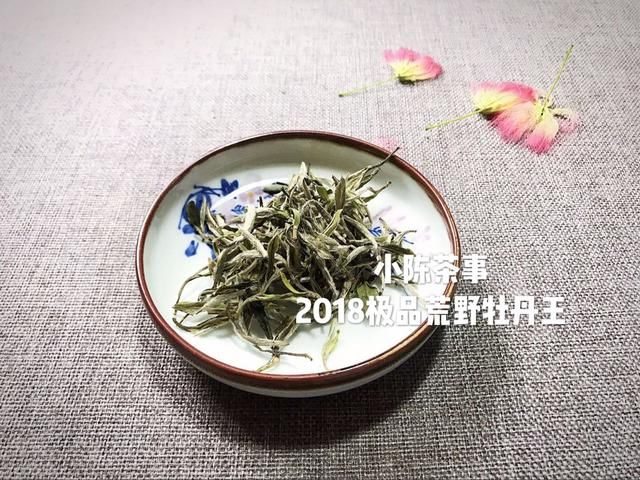 这三个以讹传讹，道听途说的白茶言论，看完你还相信吗？