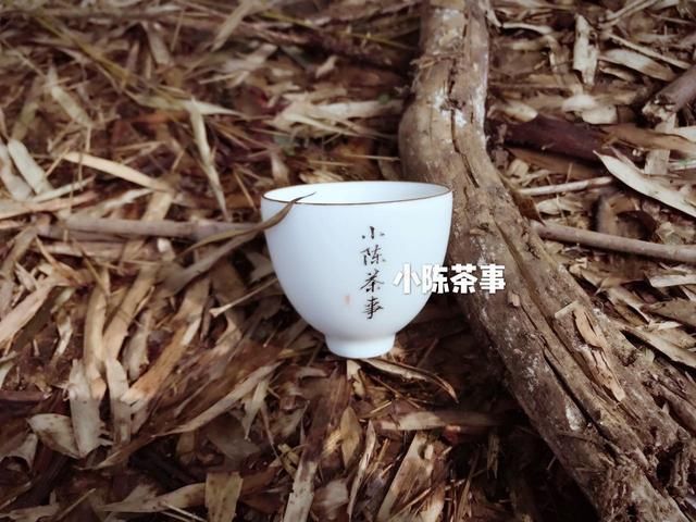 春白茶即将开采,白茶绿茶岩茶红茶普洱茶春茶采摘上市时间一览!