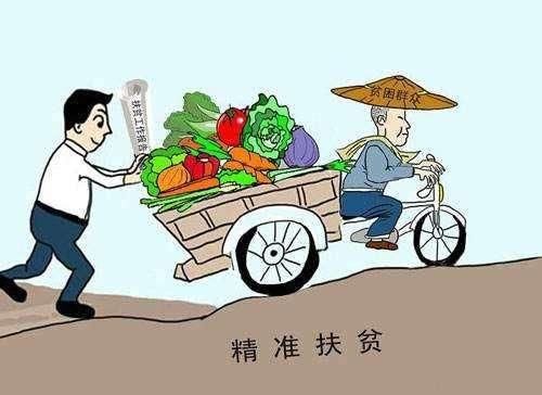收入证明_农民收入少的原因