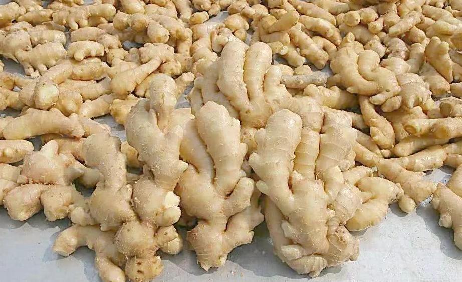 体内湿气重的人,多吃这5种食物,去湿效果看得