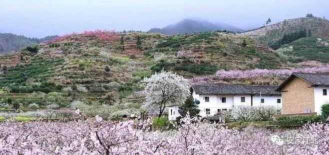 地铁6号线传来好消息!下周江北新区执行不动产登记新规