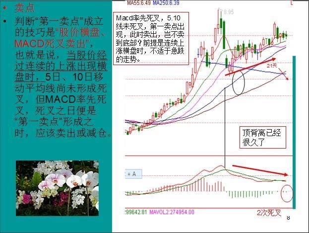 中国股市最牛的人：只学会了macd指标就能赚钱，你学会了吗？