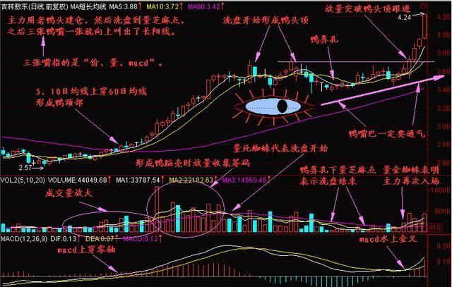 老操盘手无意泄露“老鸭头”奥秘，散户纷纷记下，跟庄吃肉！