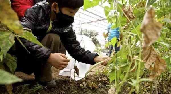 大局已定！农村户口注意啦！我们即将身价暴涨！