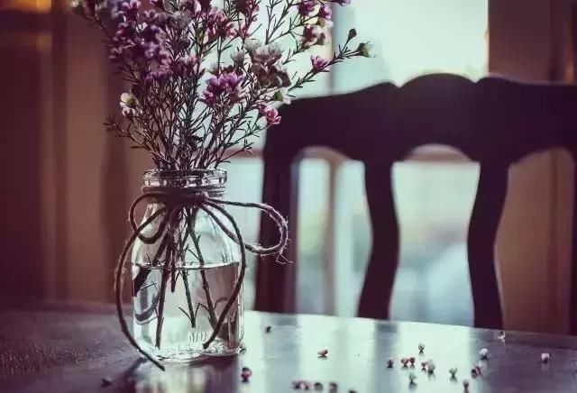 品味生活享受阳光 t0140c23f61ffed51d2.jpg