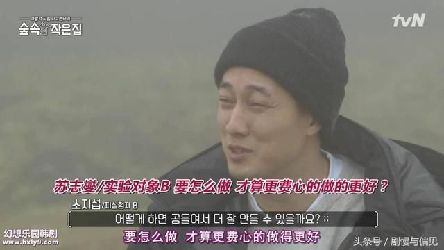 罗英石的林中小屋,为何非苏志燮和朴信惠不可