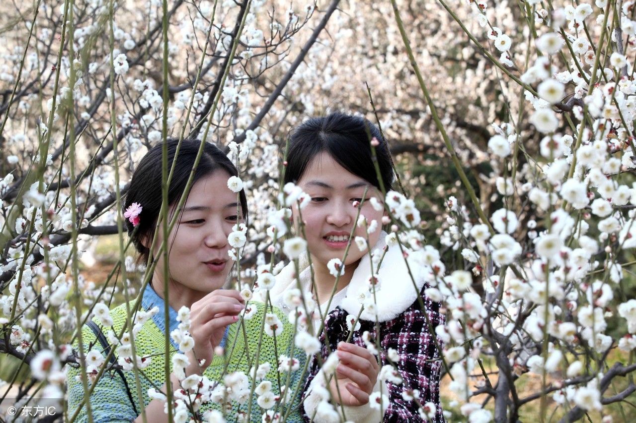 合肥植物园:安徽省旅游局推荐的安徽十处最美的地方之一。