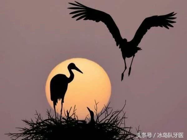 第70期大乐透,一注2+1保底的号码你要不要?