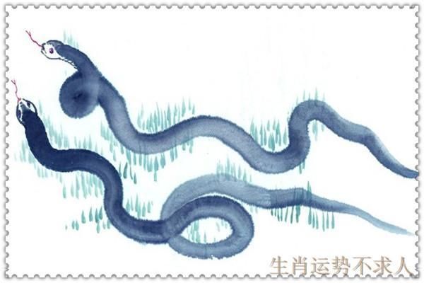 2018年，生肖蛇有发财的可能吗?