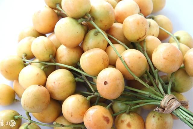 这水果不是荔枝,不是嘉宝果,每斤挣6块钱,种一