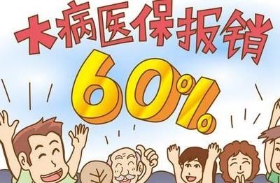 怎么办大病医保