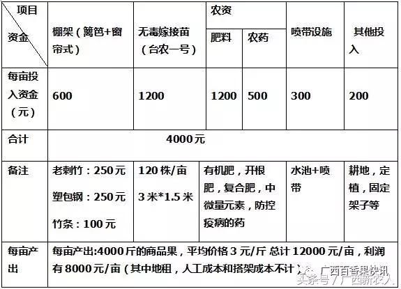 小农户示范案例：百香果秋种，预计产出12000元\/亩，现在怎样了