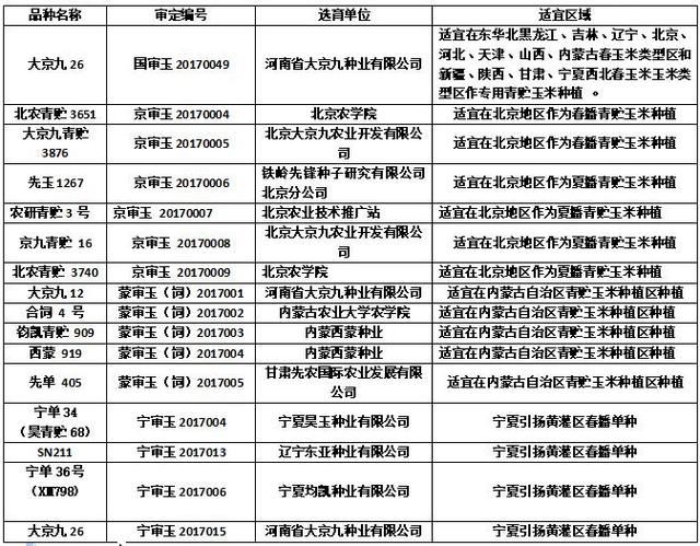 青贮玉米效益高于籽粒玉米 就是自产自销有点难