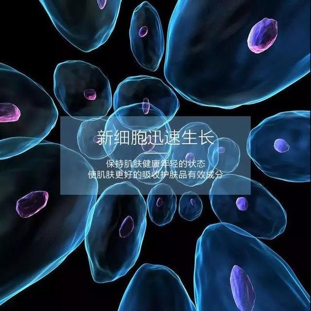 t014160a60b1e8c6020.jpg