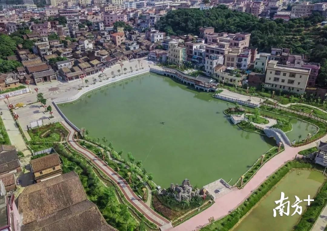 农村振兴组织振兴