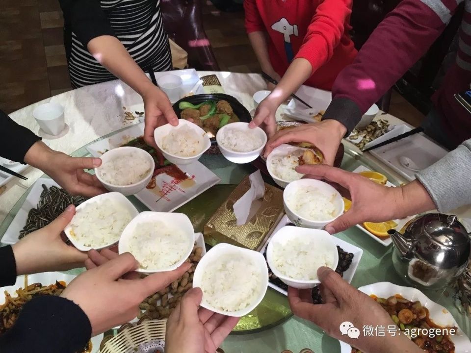 转基因品尝会,欢送2017迎接2018!