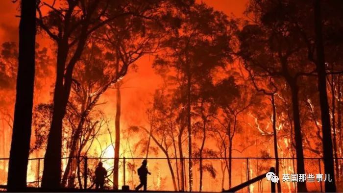 澳洲火灾面积占比