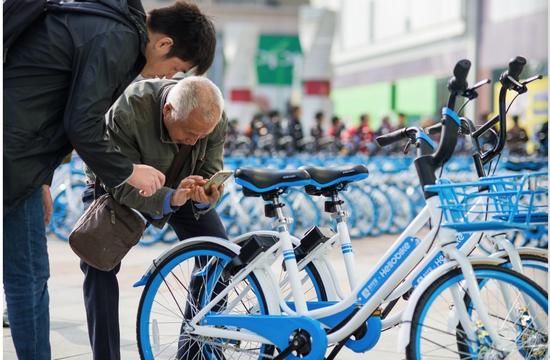 哈罗单车遭济源城管部门缉拿 竟是私自投放?