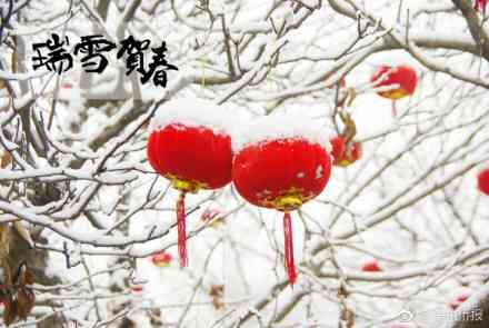 雨雪交加!纽约周六预计再下大雪