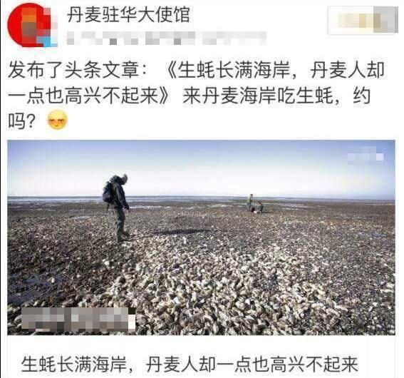 丹麦的生蚝泛滥，公开喊话中国求帮忙，中国吃货的春天来了