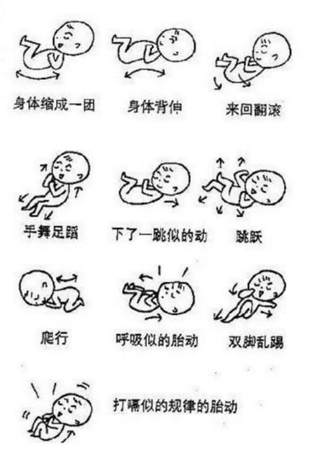 看胎动就知道宝宝性别!妈妈赶快来比对一下