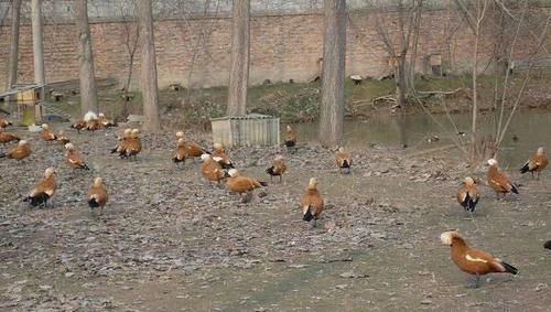 养殖证如何办理