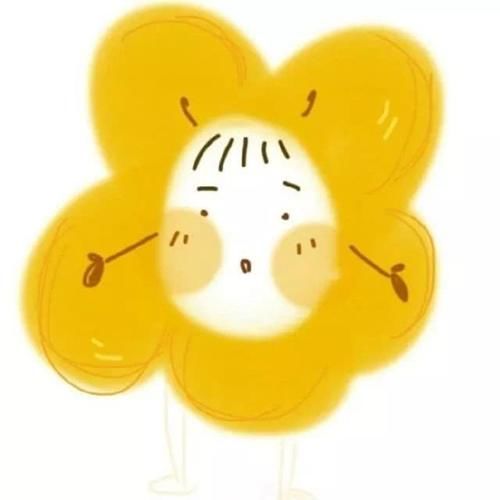 薏米谱|胡萝卜排骨炖猪肩肉/番茄小食牛尾会长胖吗图片