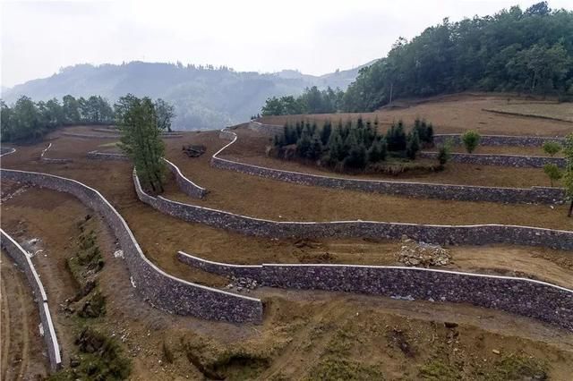 兴仁县五级联动村民自建坡耕地水保项目