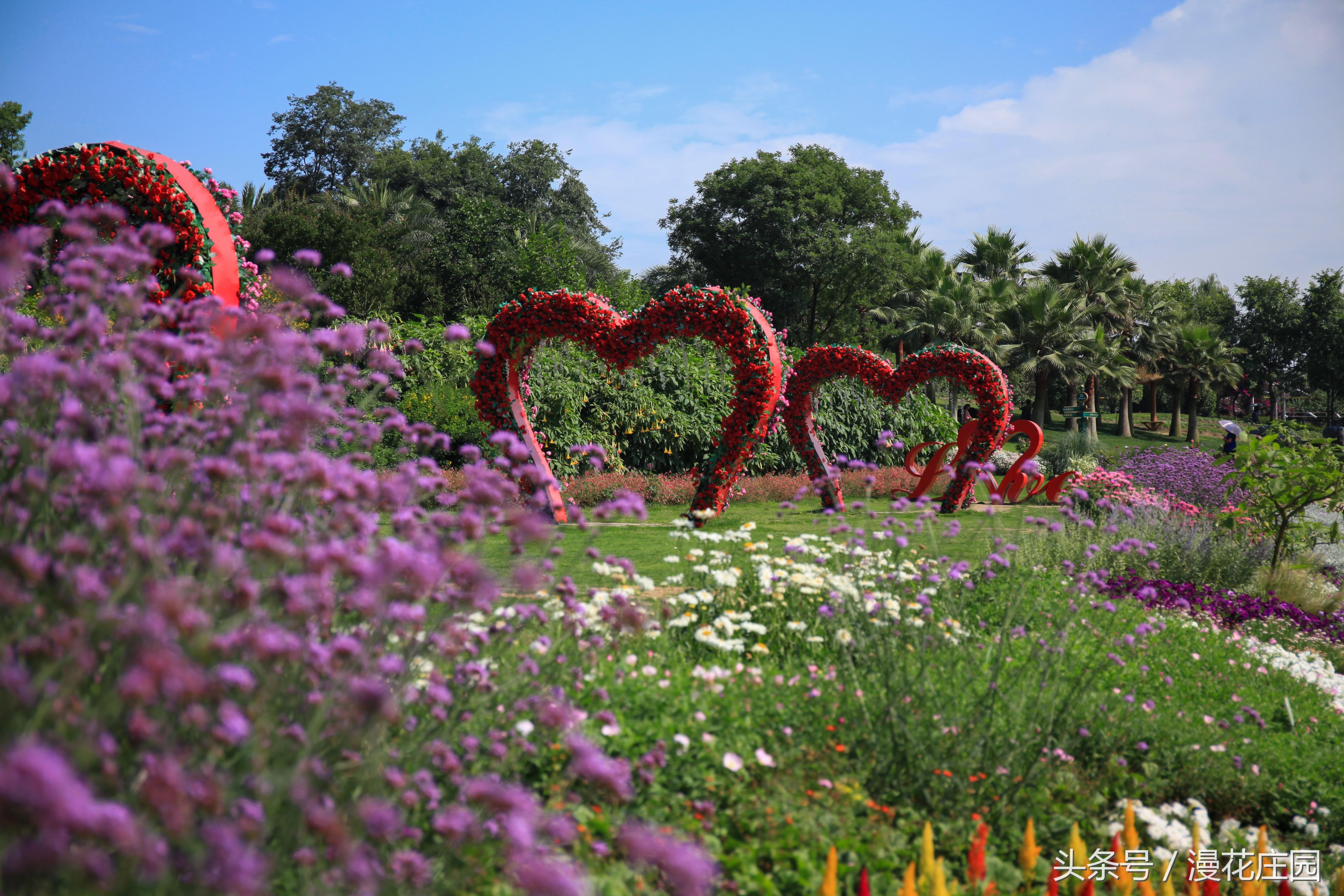 漫花庄园花境小品最新实拍图，就是这么美!
