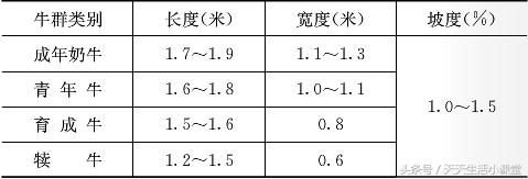 养牛如何科学建筑牛舍