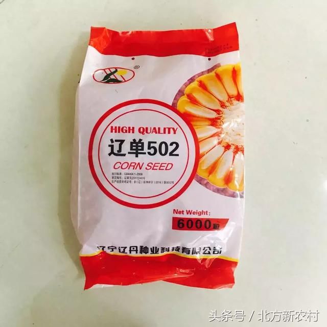 快看，听说玉米播种越早，出苗越不好！玉米播种期咋确定？