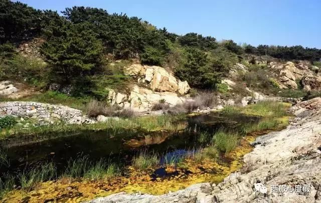 在海边睡去 在岛上醒来 西海岸有哪些小岛你不容错过