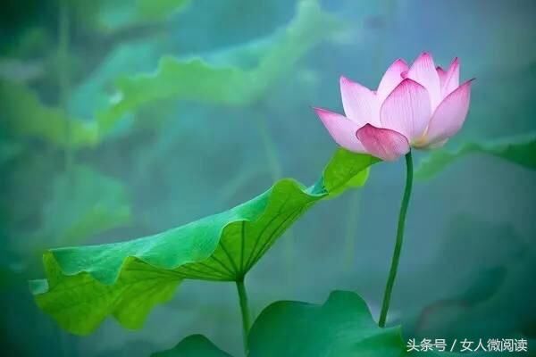 人不管几岁,必须记住的10句话