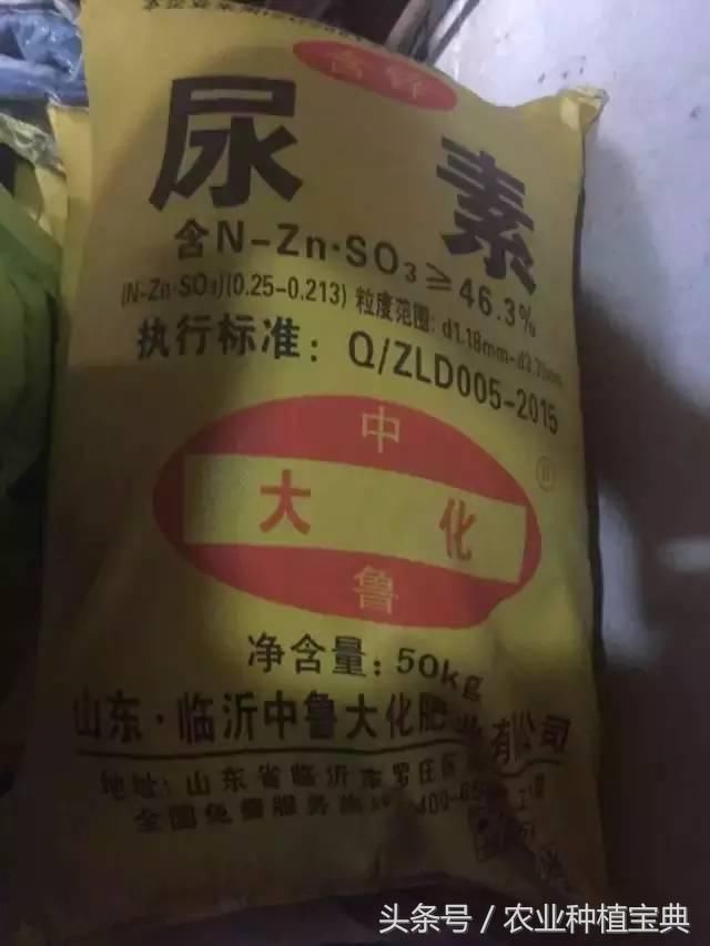 高度警惕！这些尿素是“内鬼”，你可别被骗了