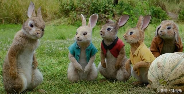 《彼得兔》是什么限制了英国人对美食的想象力