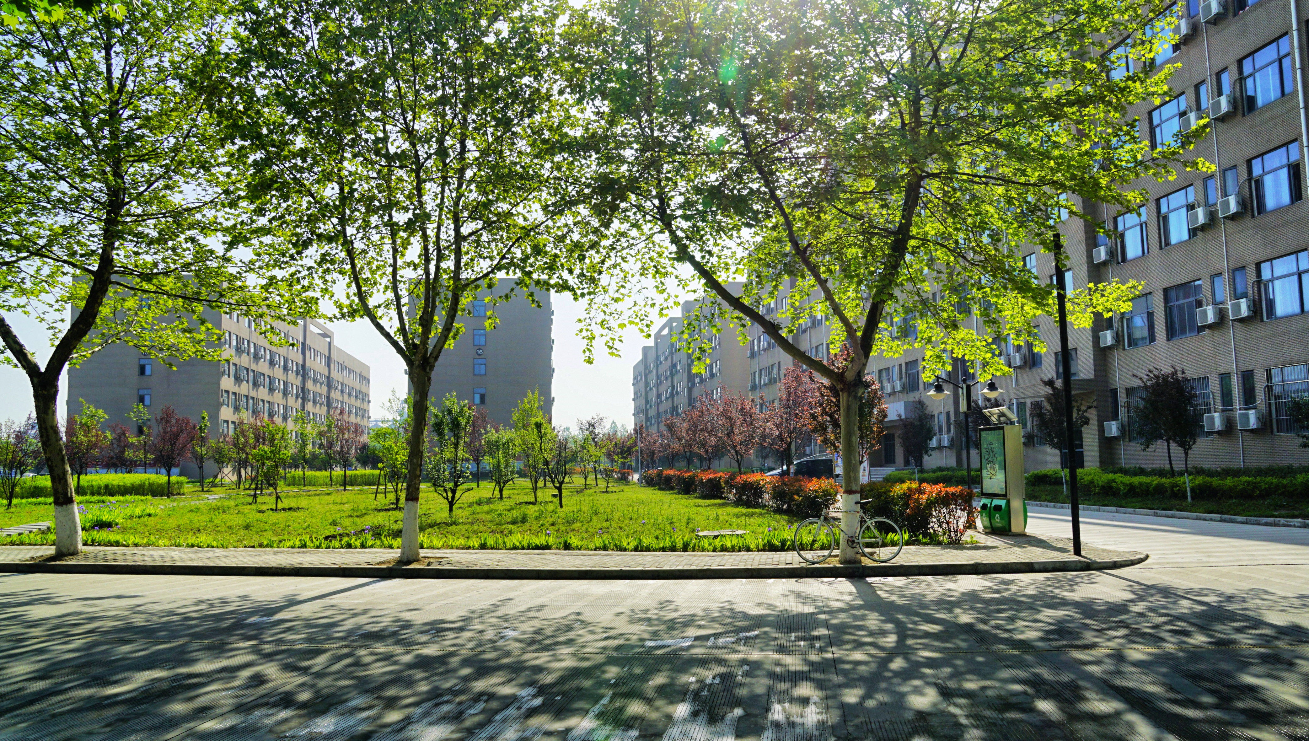 中石油、中石化、中海油共建高校:连续23年就