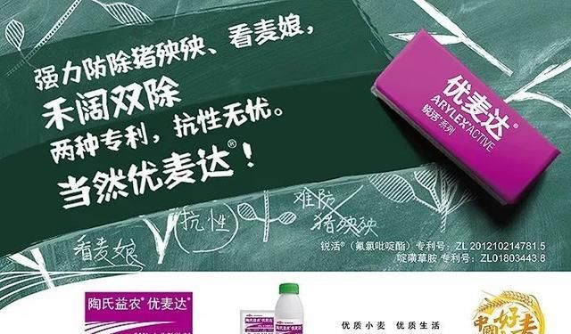 2019年12月国内重大时事