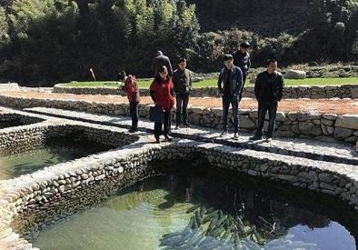 养草鱼却不用鱼塘,供不应求,一斤卖到80元!