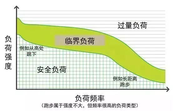 我想健康跑步一辈子：怎样跑步才能防止关节软骨磨损