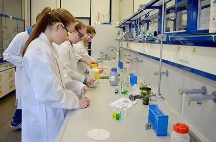 德国大学真的很难毕业吗?