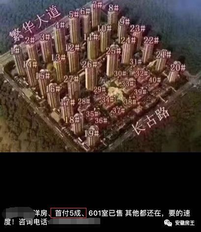 千人抢房还“打架”，杭州火了!市场分化买房难，合肥买房这5大问