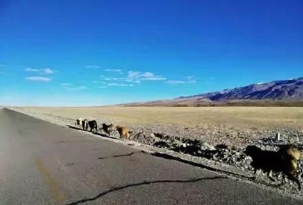 川藏线户外行攻略新都桥