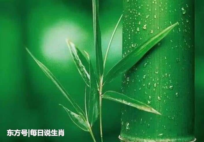 6月8号起，生活中喜事不停，财运广进，好日子天天有的3大生肖