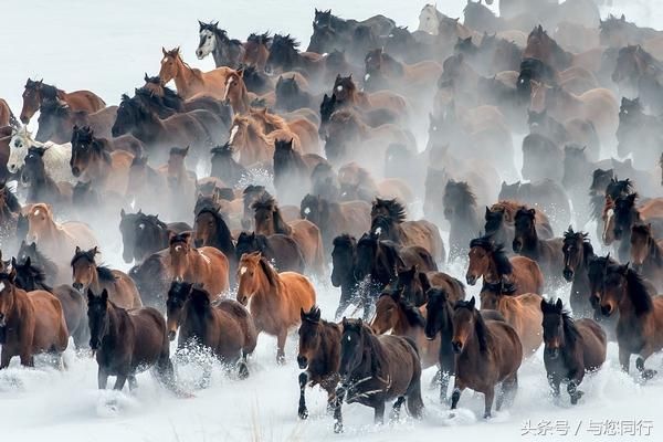 大美新疆 锦绣昭苏