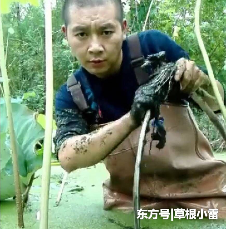 农村小伙每天靠挖“它”日赚几百元，比外出打工强多了！