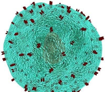 造血干细胞是造血细胞吗