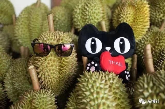 泰国、马来西亚的榴莲不仅好吃!价格也很美味